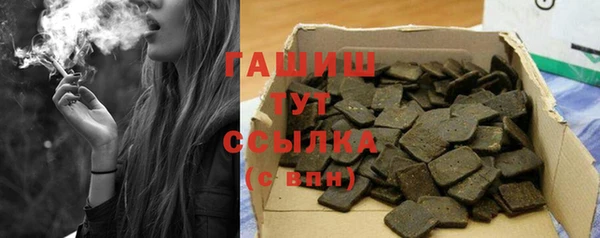 спиды Богородицк