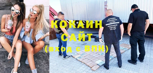 спиды Богородицк