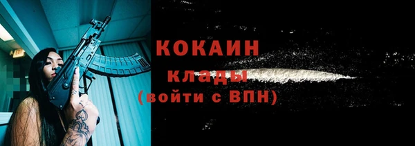 спиды Богородицк