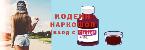 спиды Богородицк