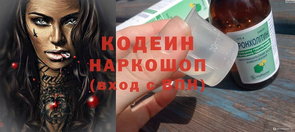 спиды Богородицк
