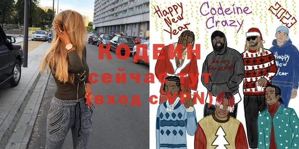 спиды Богородицк